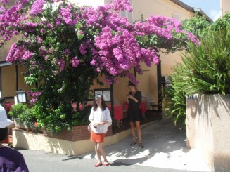 Cap Ferrat-le sentier litoral