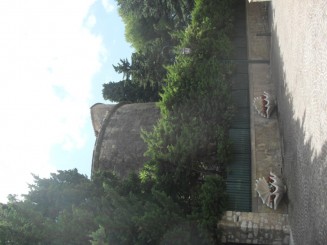 Cap Ferrat-le sentier litoral