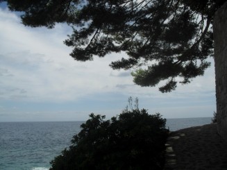 Cap Ferrat-le sentier litoral