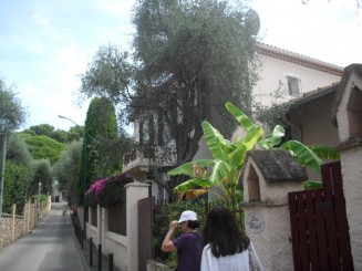 Cap Ferrat-le sentier litoral