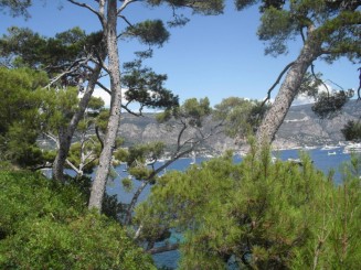 Cap Ferrat-le sentier litoral