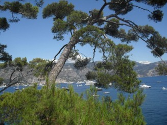 Cap Ferrat-le sentier litoral