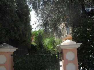 Cap Ferrat-le sentier litoral