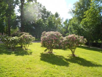 Plalatul Rundale - gradinile