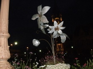 aranjament din fata primariei