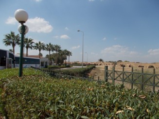 Cartagina-viaduct roman