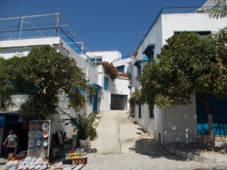 Vizita de o zi in medina din Tunis,Sidi Bou Said si Cartagina