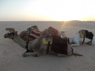 si iata asfintitul...