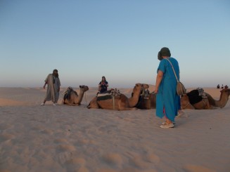 dromaderii se odihnesc