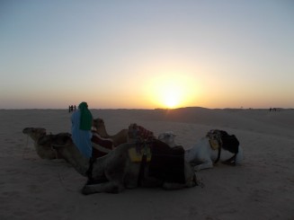 Tunisia-Desertul nisipos tunisian