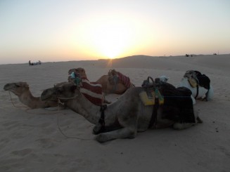 Tunisia-Desertul nisipos tunisian