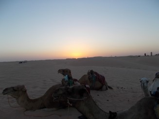 Tunisia-Desertul nisipos tunisian