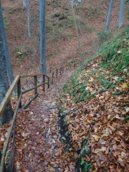 Pestera Valea Cetatii
