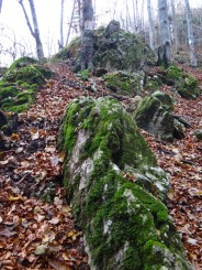 Pestera Valea Cetatii