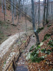 Pestera Valea Cetatii