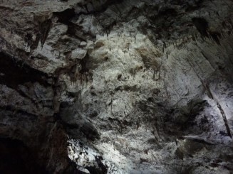 Pestera Valea Cetatii