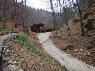 Pestera Valea Cetatii