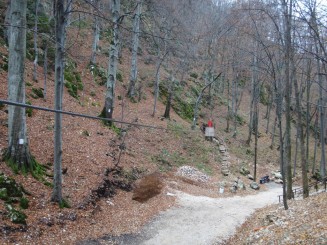 Pestera Valea Cetatii