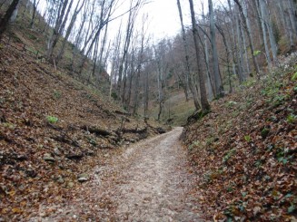 Pestera Valea Cetatii