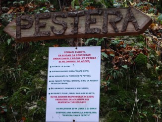 Pestera Valea Cetatii