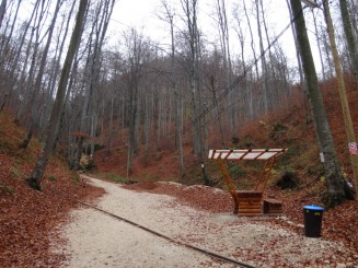 Pestera Valea Cetatii