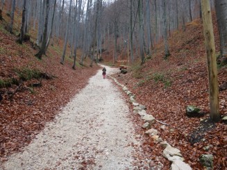 Pestera Valea Cetatii