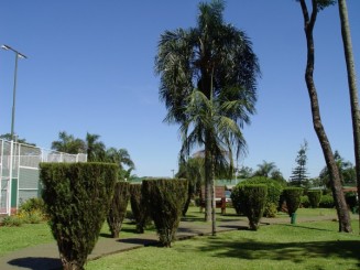 Cascada Iguazu