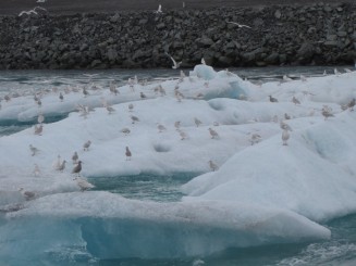Islanda Glacial Lagoon and Vatnajökull glacier
