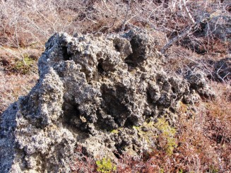 Islanda Dimmuborgir (Castele intunecate)