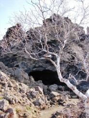 Islanda Dimmuborgir (Castele intunecate)