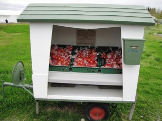 islanda Deildartunguhver