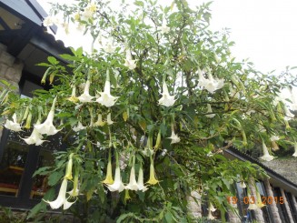 Un fabulos oraş incaş - Machu Picchu!!!!
