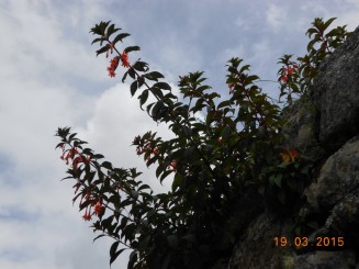 Un fabulos oraş incaş - Machu Picchu!!!!