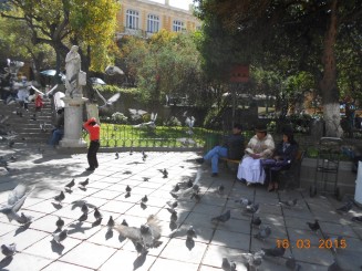 Oameni, culori, strazi