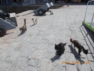 primul comitet de primire