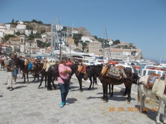 magarii si catarii frumos parcati asteapta turistii