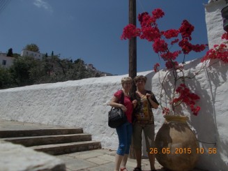 flori viu colorate rasarite din amfore