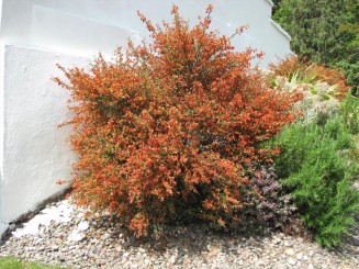 Irlanda, Connemara, splendid parc natural si istorie zbuciumata,