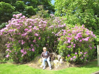 Irlanda, Connemara, splendid parc natural si istorie zbuciumata,