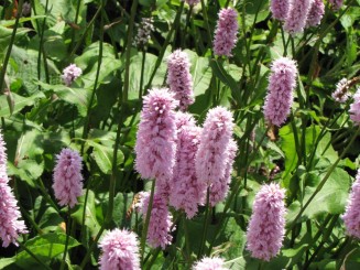 Irlanda, Connemara, splendid parc natural si istorie zbuciumata,