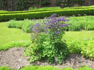 Irlanda, Connemara, splendid parc natural si istorie zbuciumata,