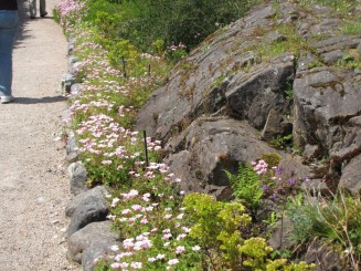 Irlanda, Connemara, splendid parc natural si istorie zbuciumata,