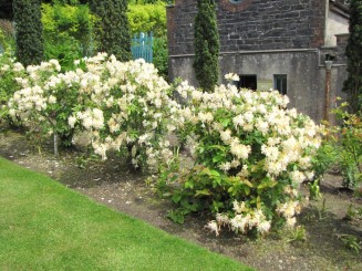 Irlanda, Connemara, splendid parc natural si istorie zbuciumata,