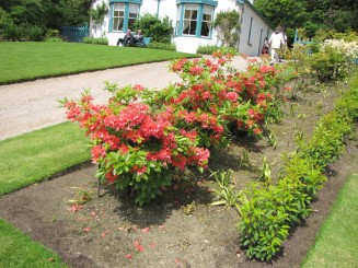 Irlanda, Connemara, splendid parc natural si istorie zbuciumata,