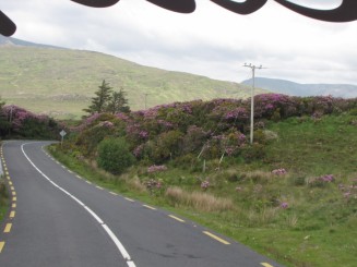 Irlanda, Connemara, splendid parc natural si istorie zbuciumata,