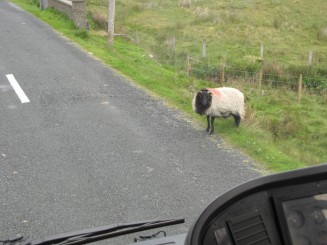 Irlanda, Connemara, splendid parc natural si istorie zbuciumata,