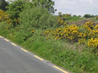 Irlanda, Connemara, splendid parc natural si istorie zbuciumata,