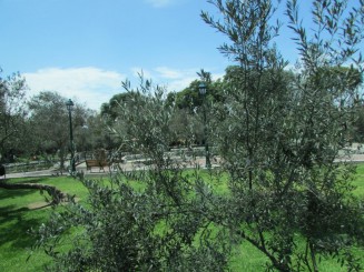 Parcul El Olivar