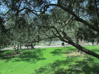 Parcul El Olivar