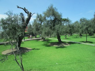 Parcul El Olivar